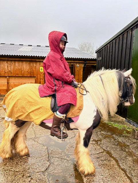 Equine Stay Dry Advanced Equestrian Waterproof Coat - Mulberry